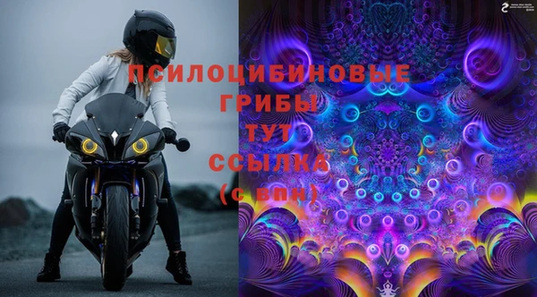 тгк Протвино