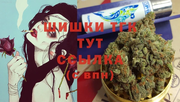 тгк Протвино