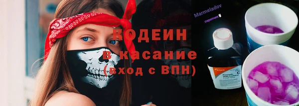 прущие грибы Приозерск