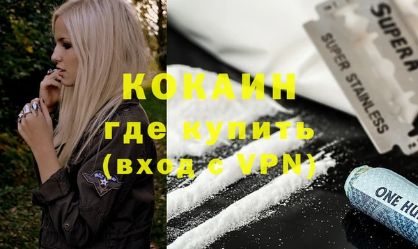 прущие грибы Приозерск