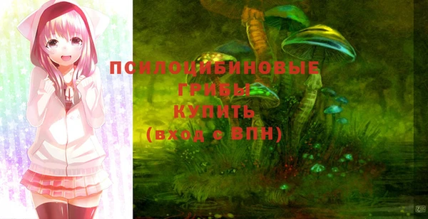 тгк Протвино