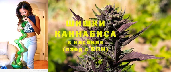 прущие грибы Приозерск