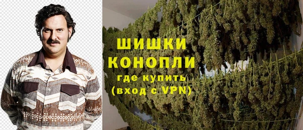 прущие грибы Приозерск