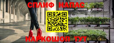 гашишное масло Беслан