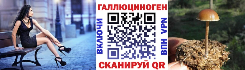Псилоцибиновые грибы ЛСД Волжск