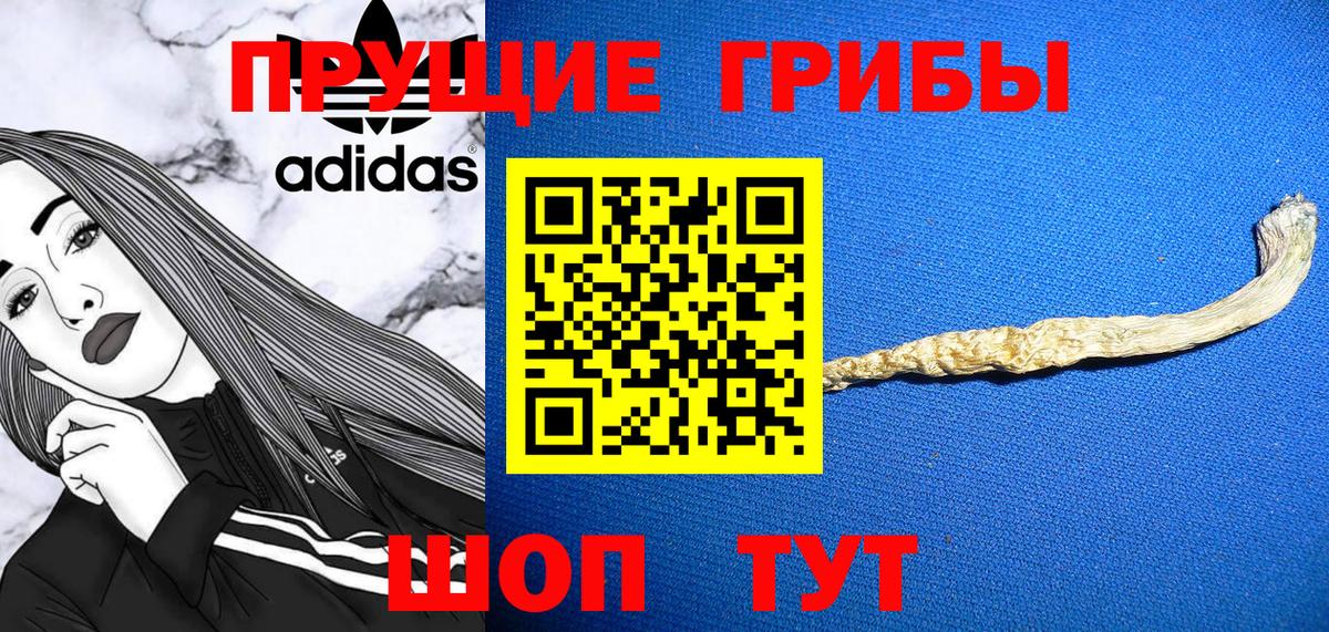 Галлюциногенные грибы ЛСД  купить   Волжск  Вход с VPN 
