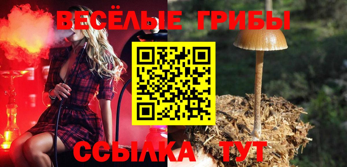 Галлюциногенные грибы ЛСД  Волжск  Галлюциногенные грибы MAGIC MUSHROOMS 