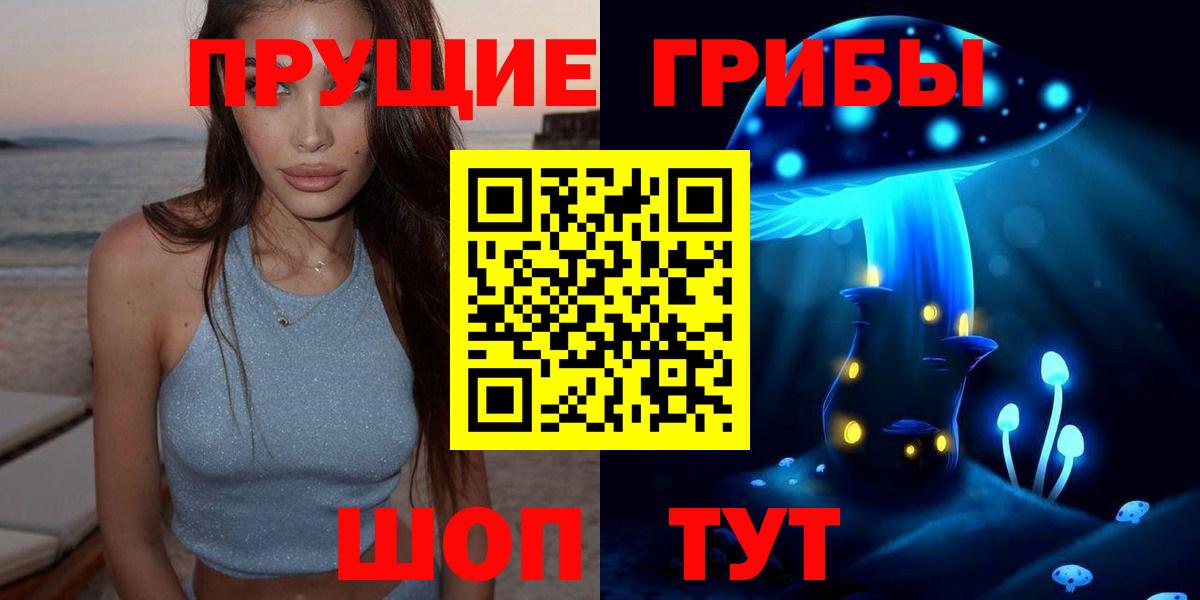 Галлюциногенные грибы Psilocybe Волжск